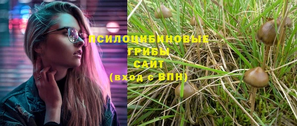 индика Армянск