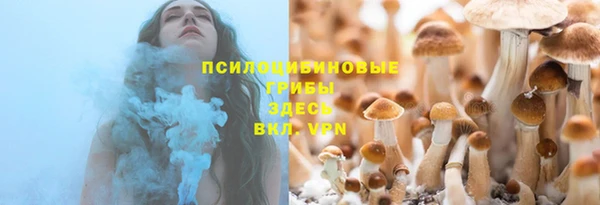 Альфа ПВП Аркадак