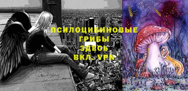 Альфа ПВП Аркадак