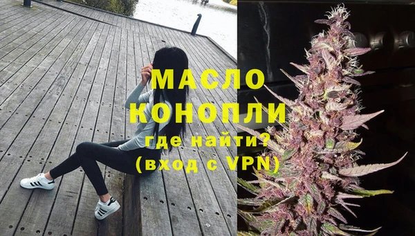 индика Армянск