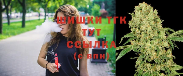 индика Армянск